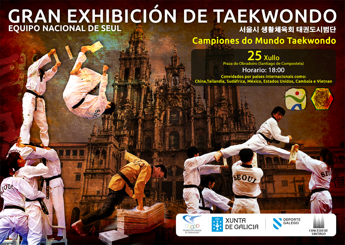 Cartel da exhibición de taekwondo.